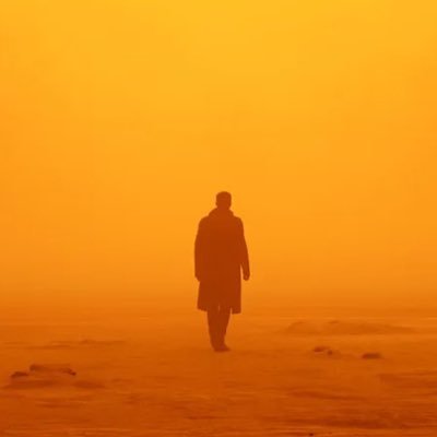 Pensons-y toujours, n’en parlons jamais (mimosarrasin dépolitisé)