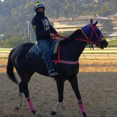 Hipódromo La rinconada
Pasión por los Purasangre de Carreras ❤️