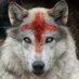 Dylan E. (@dylane23715) Twitter profile photo Dylan E. (@dylane23715) Twitter profile photo