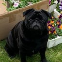 danial hichens - @DanEich74 - Twitter