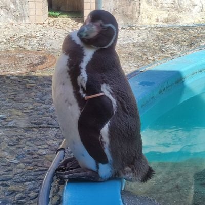 愚痴垢。
文字数制限あるので端的にタメ口方式で書いてますが、現実はしっかり敬語使ってます。
現実でもネットでもプライベートでも精神的にでも店員は常に低姿勢であらねばならないと思ってる人は、回れ右おすすめします。