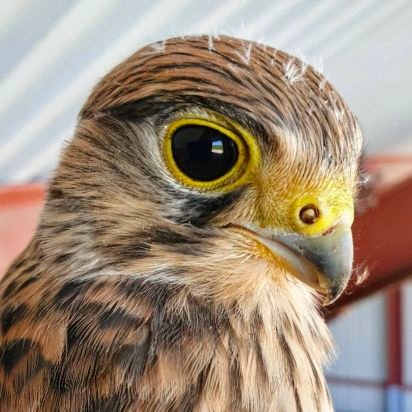 Destruction du climat et ou de la biodiversité.
Production de l'alimentation que vous choisissez d'acheter.
Peux mieux faire, c'est à peine un poil plus cher