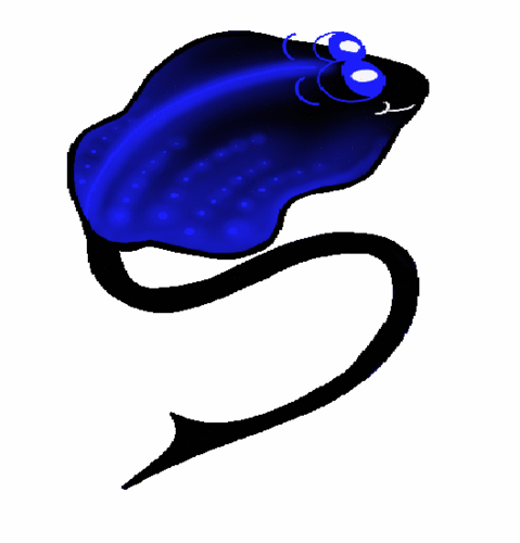 StingrayPools's profile picture. Stingray Pools is your swimming pool service provider in Fort Worth and surrounding areas. Locally owned & operated with customer satisfaction as our main goal!