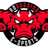๐ฉ๐๐๐๐ธ๐๐พ๐๐ ๐ซ๐๐๐๐ (@ndproampage_) 's Twitter Profile
