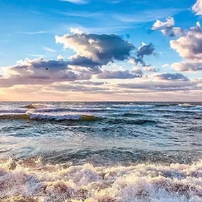 nanan_goto's profile picture. hight  172 cm
Sharing fact & Back up Propaganda,
and stand with Palestine 💔🇵🇸
Nggak mencari Followers, begadang, Quota dan Kopi kental ikhlas buat Palestina.