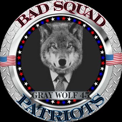 Gray_Wolf_45 Profile Picture