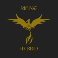 RisingHybrid(@RisingHybrid) 's Twitter Profile Photo