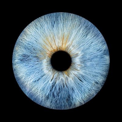 genlebel's profile picture. Black or white, always fast forward. Trying everyday to be the person my dog thinks I am. Comments & opinions are my own.