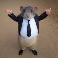baul plart (@paulblartstan) 's Twitter Profile