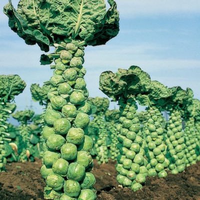 lmOdy8vBz541535's profile picture. 