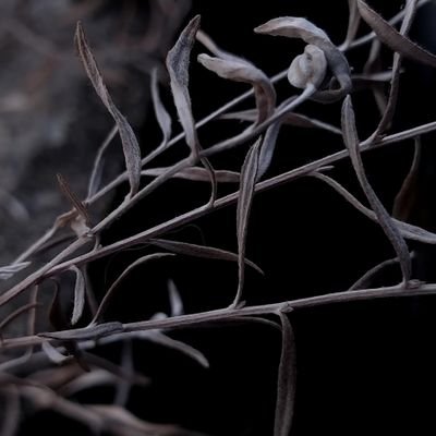 nickk_868's profile picture. Peace