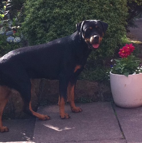 billybobs34's profile picture. 