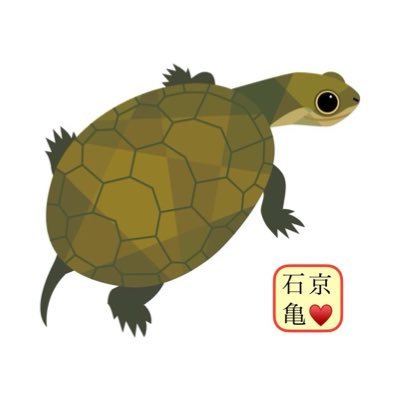京都でニホンイシガメを飼育する人の日常の話。 将来ブリーダーを目指して頑張っています♪R6.2愛玩動物飼養管理士2級合格!
