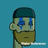 walltmetavrse's profile picture. 5, plots of irl land 🇧🇸 tethered to 5, nfts on the solana blockchain. featuring 3d metaverse objects created by our team of bahamian artists 🐚.