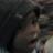 Rudeboy2go's profile image
