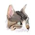 xao | comms closed!!! (@xaolevn) Twitter profile photo xao | comms closed!!! (@xaolevn) Twitter profile photo