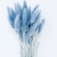 bluu (@leiloliluo) 's Twitter Profile