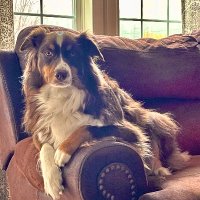 Freedom Loving Mama (@all62410) 's Twitter Profile