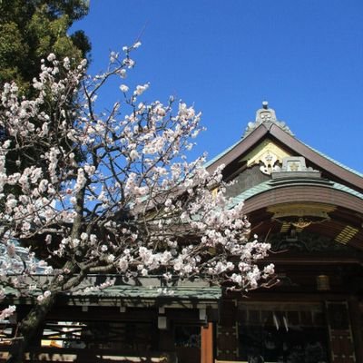 prHJV9F8Or99179's profile picture. 