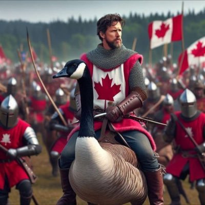 asilo_d's profile picture. 