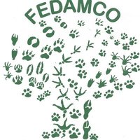 FEDAMCO(@FEDAMCO1) 's Twitter Profile Photo