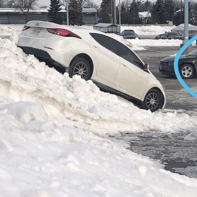 DolLan239253's profile picture. Truth seeker