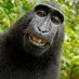 monkeman (@mrmonke2024) Twitter profile photo monkeman (@mrmonke2024) Twitter profile photo