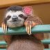 Ugh (@ugh38630349) Twitter profile photo Ugh (@ugh38630349) Twitter profile photo