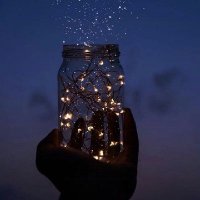 Lynx 🌙 🐬 (@_elise_l_) 's Twitter Profile Photo Lynx 🌙 🐬 (@_elise_l_) 's Twitter Profile Photo