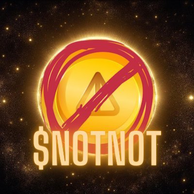 Not_Notcoin Profile Picture