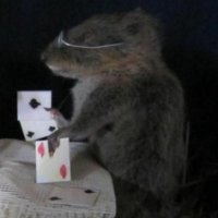 rato jogando truco(@smbielz) 's Twitter Profile Photo