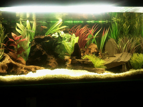 Javyboo97's profile picture. 