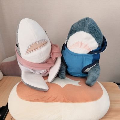 mochameloshark's profile picture. ぬい撮り🦈、あんこうちゃん、編み物、ポケモン、🫶ぬい垢さんと繋がりたいです️🦈