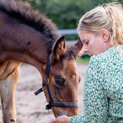 koulutustuottaja Pharmacalla🐴 Callela Vipclass, Baby It’s You, Jakob K.Boko