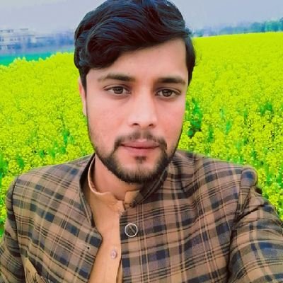 I'm Umar farooq student of MSc agronomy, at university of agriculture peshawar faculty of crops science
