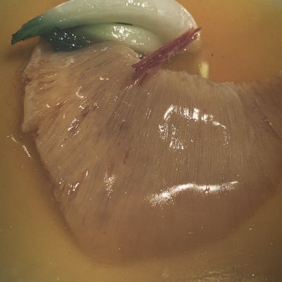 fukahire_king's profile picture. 伝説のフカヒレハンター