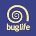 Buglife (@buzz_dont_tweet) Twitter profile photo Buglife (@buzz_dont_tweet) Twitter profile photo