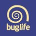 Buglife (@Buzz_dont_tweet) Twitter profile photo