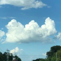 はちみっつ (@ppp80808) 's Twitter Profile Photo