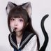 ネコと和解した (@1dv4t79j) Twitter profile photo ネコと和解した (@1dv4t79j) Twitter profile photo