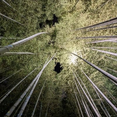 sugiurataka's profile picture. 雑多