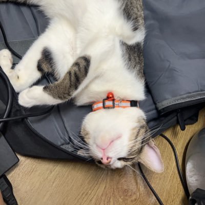 nunchnat's profile picture. พื้นที่ระบายของเราเอง