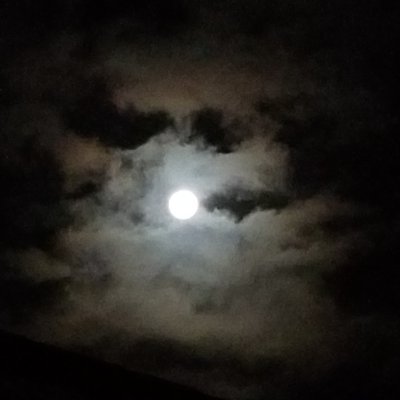 Emebrr's profile picture. She/They

^-^