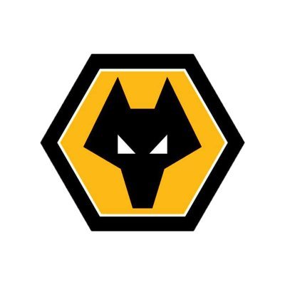 Wolves Academy Profile