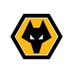 Wolves Academy (@WolvesAcademy) Twitter profile photo