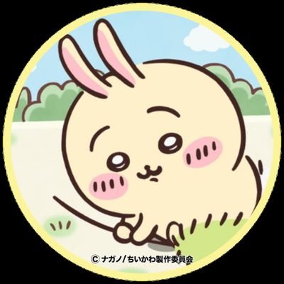 ちいかわ好きです✨うさぎとラッコ先生が特に好きです🌿無言フォロー失礼します。