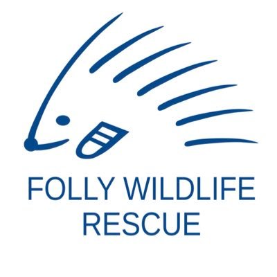 FollyWildlife Profile Picture