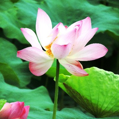【宗旨】
雲山水聯合新聞網是一個媒體正義的守護者、提升媒體素養、保障人民知的權利,非營利組織。我們的精神是傳播社會最真實現象,落實查證中立報導。