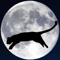 HeatherLZ (@lzheather) 's Twitter Profile Photo HeatherLZ (@lzheather) 's Twitter Profile Photo