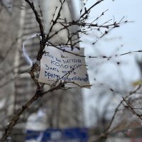 🔦15шарад (@15sharad) 's Twitter Profile